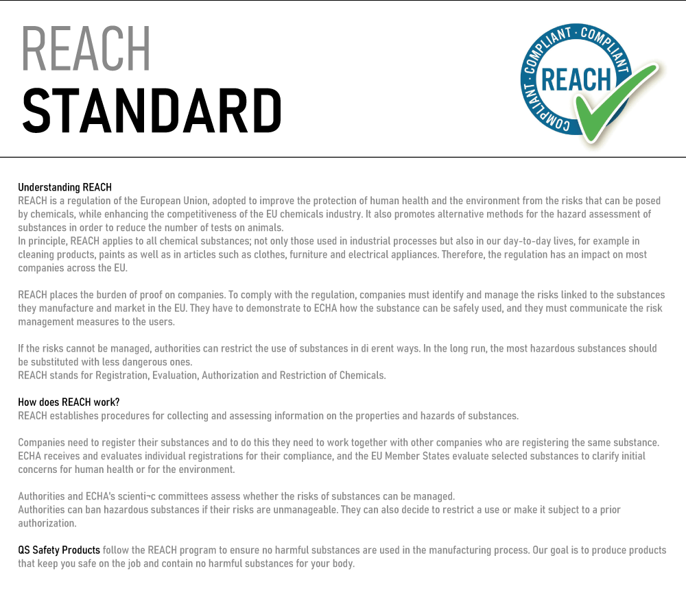 REACH-Standards.gif